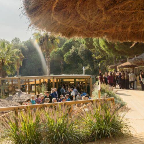 Organiza tu evento en Beach Club Cala Gogo