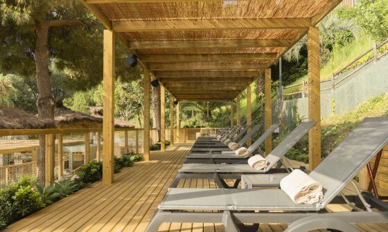 Tumbonas | Beach Club Cala Gogo Tumbonas | Beach Club Cala Gogo