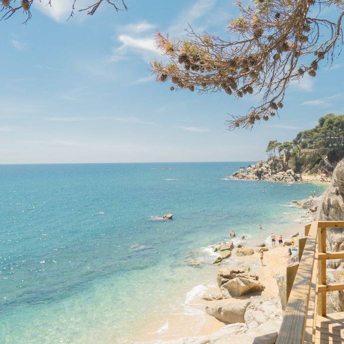 Playa | Sènia Cala Gogo Internacional
